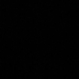 Meet your Posher, Reese